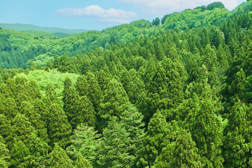 赤丸農産の近郊に広がる自然