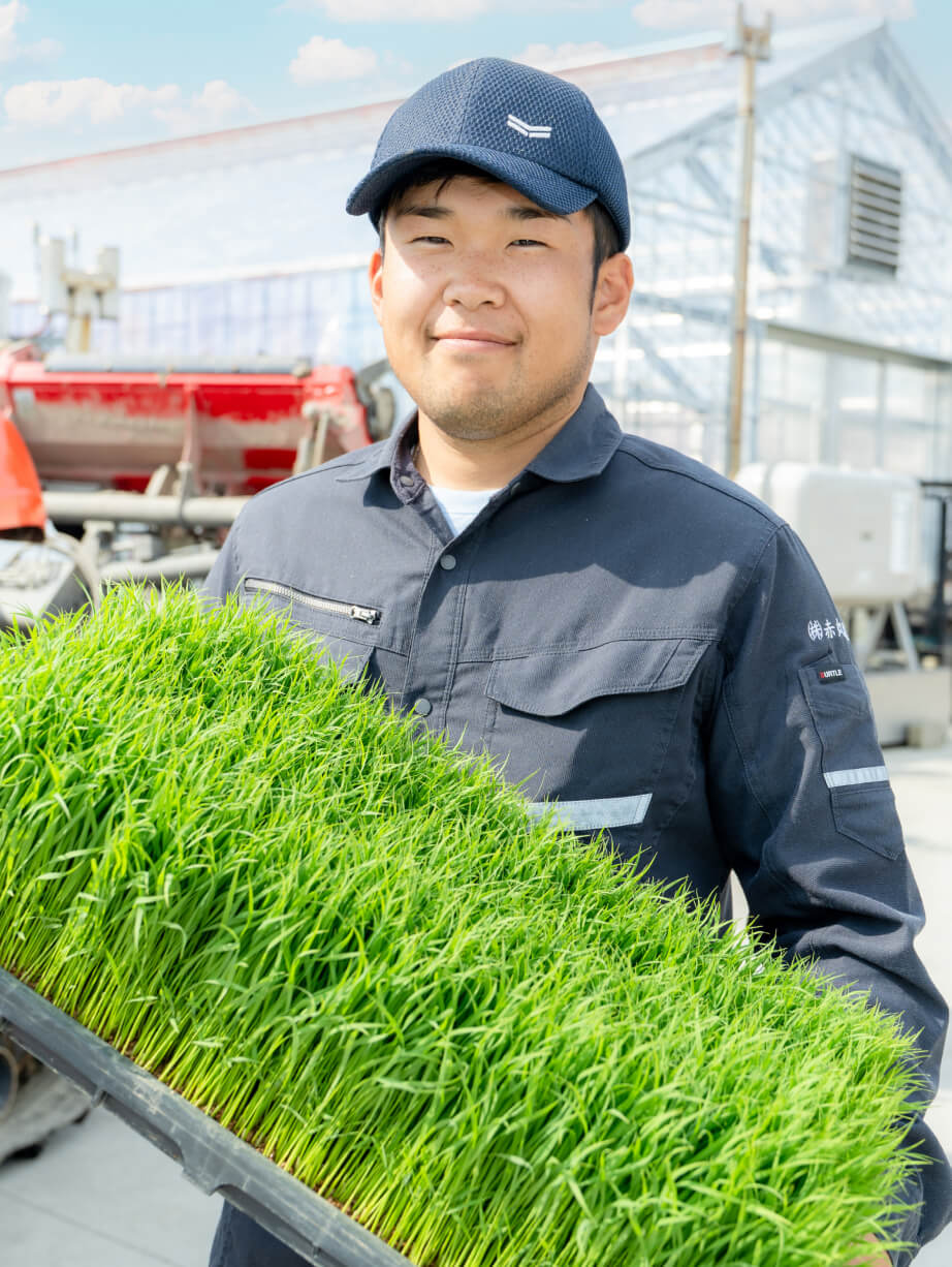 赤丸農産の育苗風景