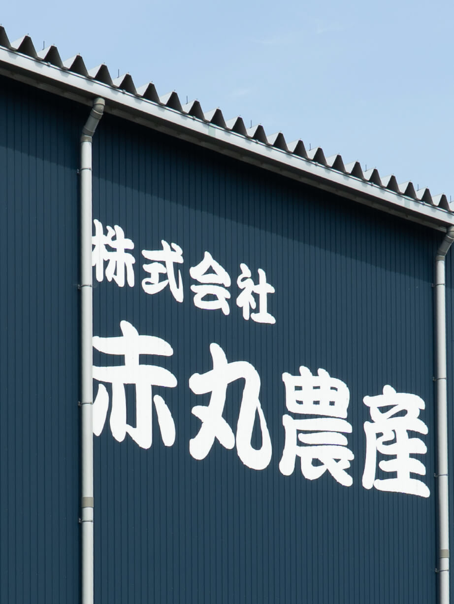 赤丸農産の育苗風景