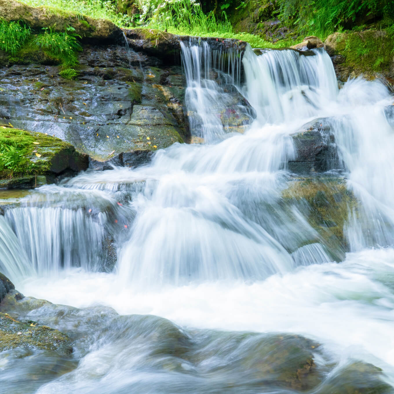 赤丸農産の近郊に広がる自然