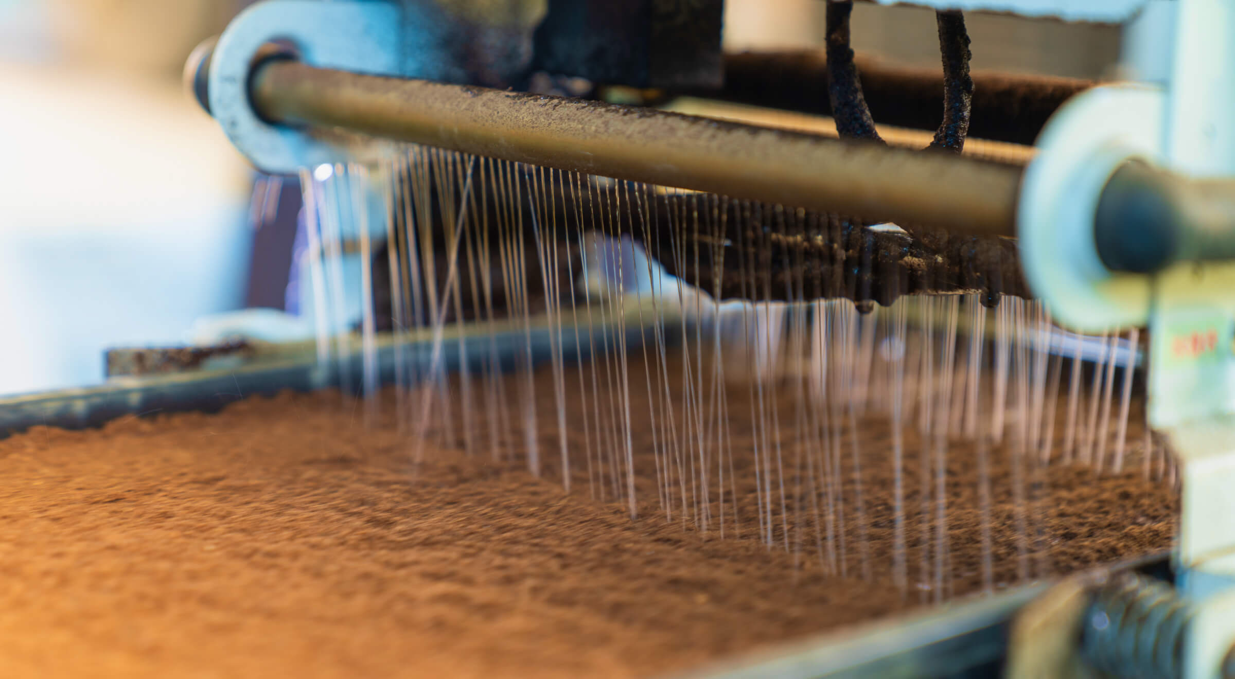 赤丸米づくりの過程で土に苗を植える様子