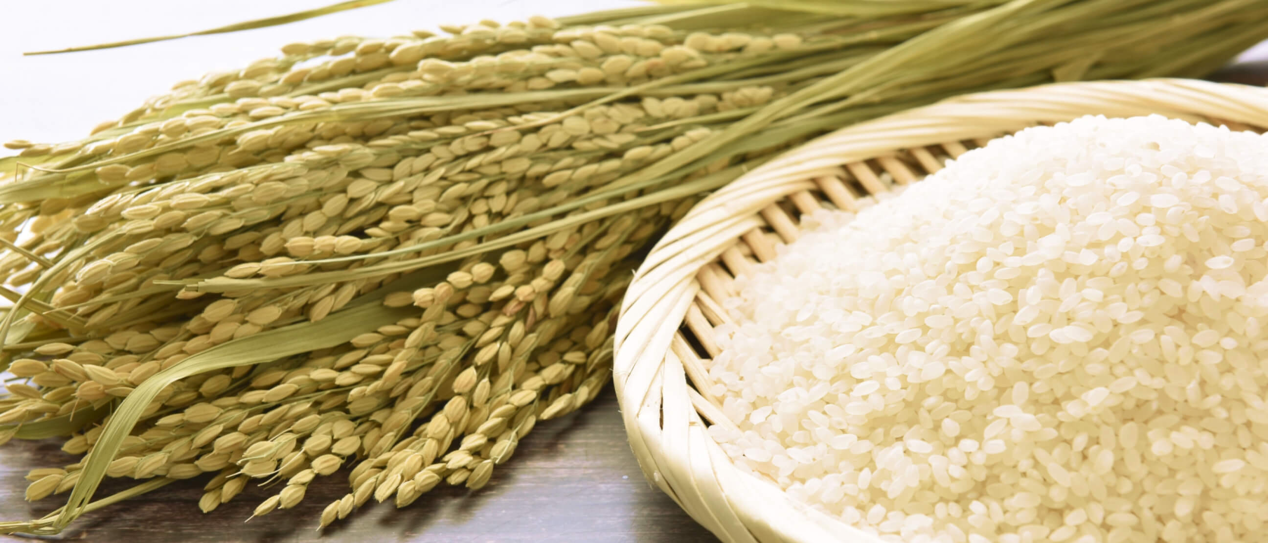 赤丸米コシヒカリ