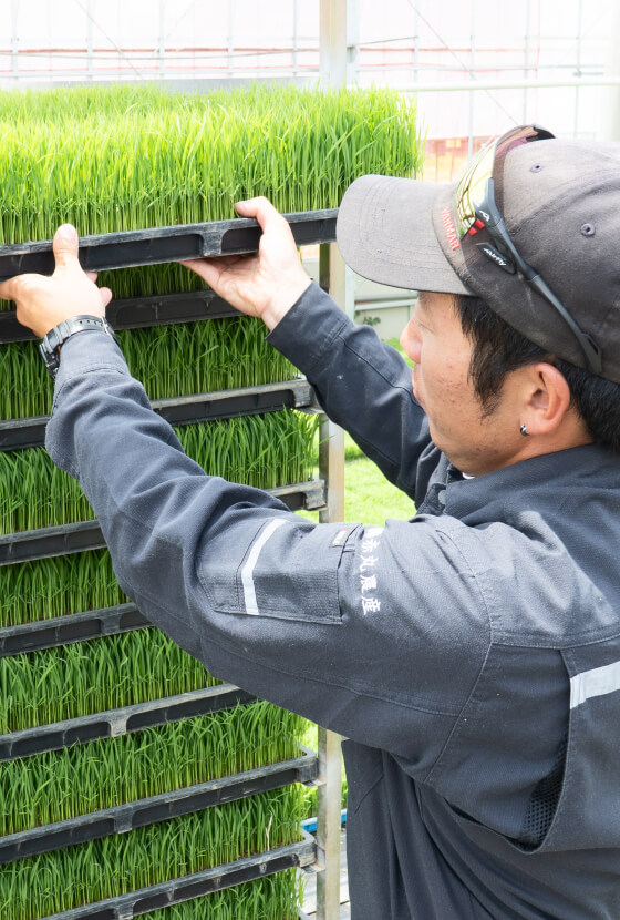 赤丸農産のスタッフが苗を運ぶ様子