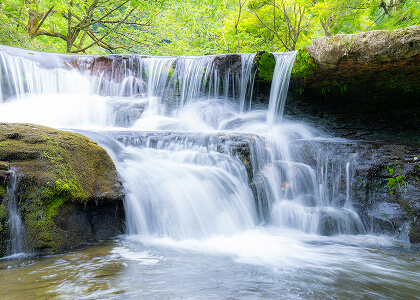 赤丸農産の近郊に広がる自然