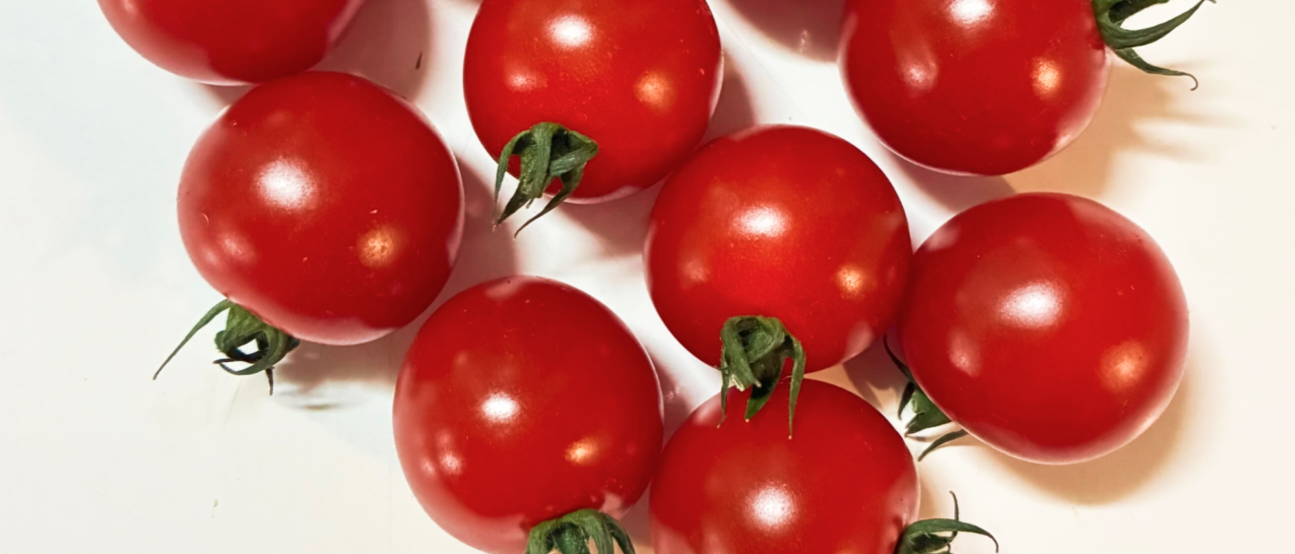 赤丸農産で育てている赤丸トマト