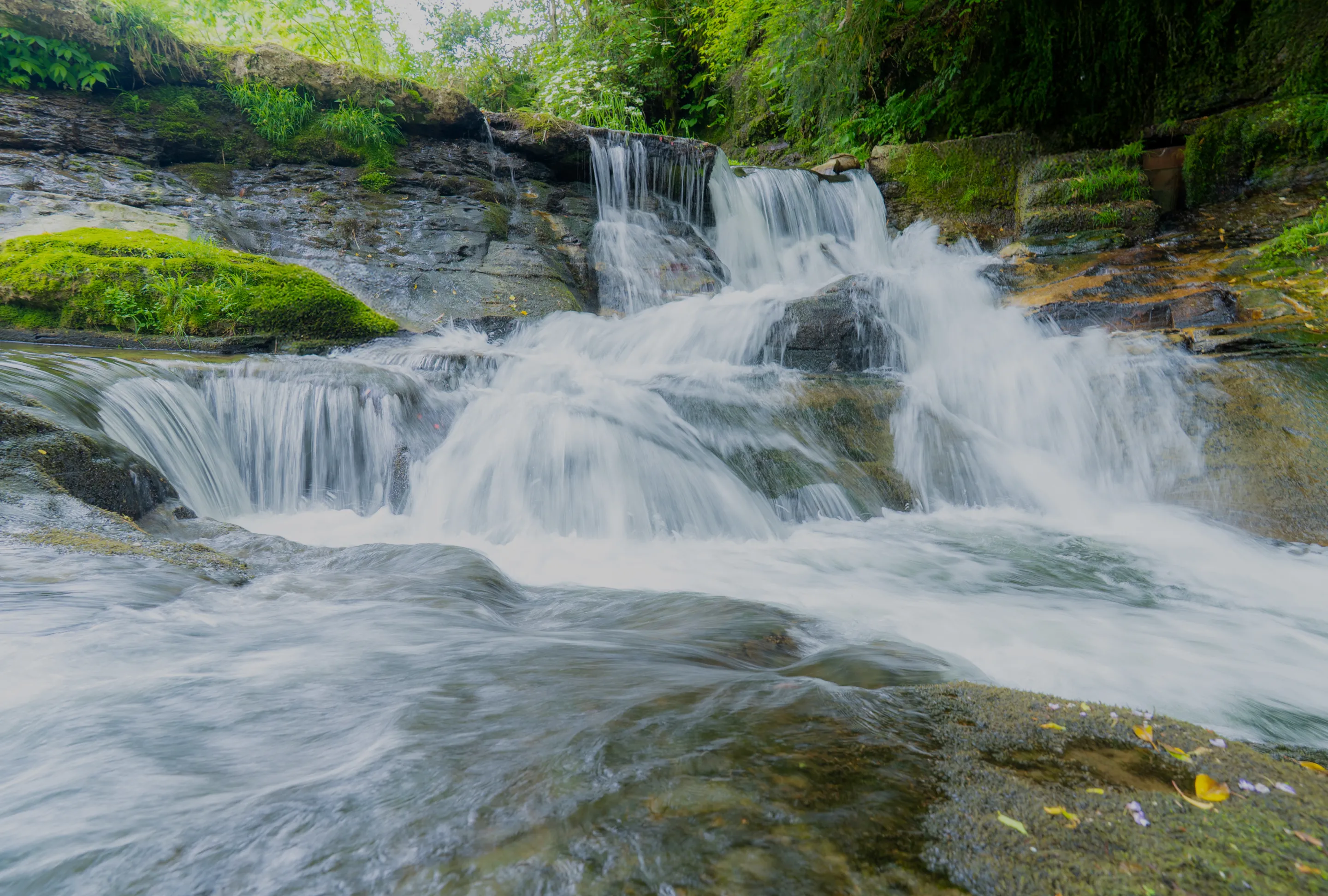 株式会社赤丸農産近郊の自然