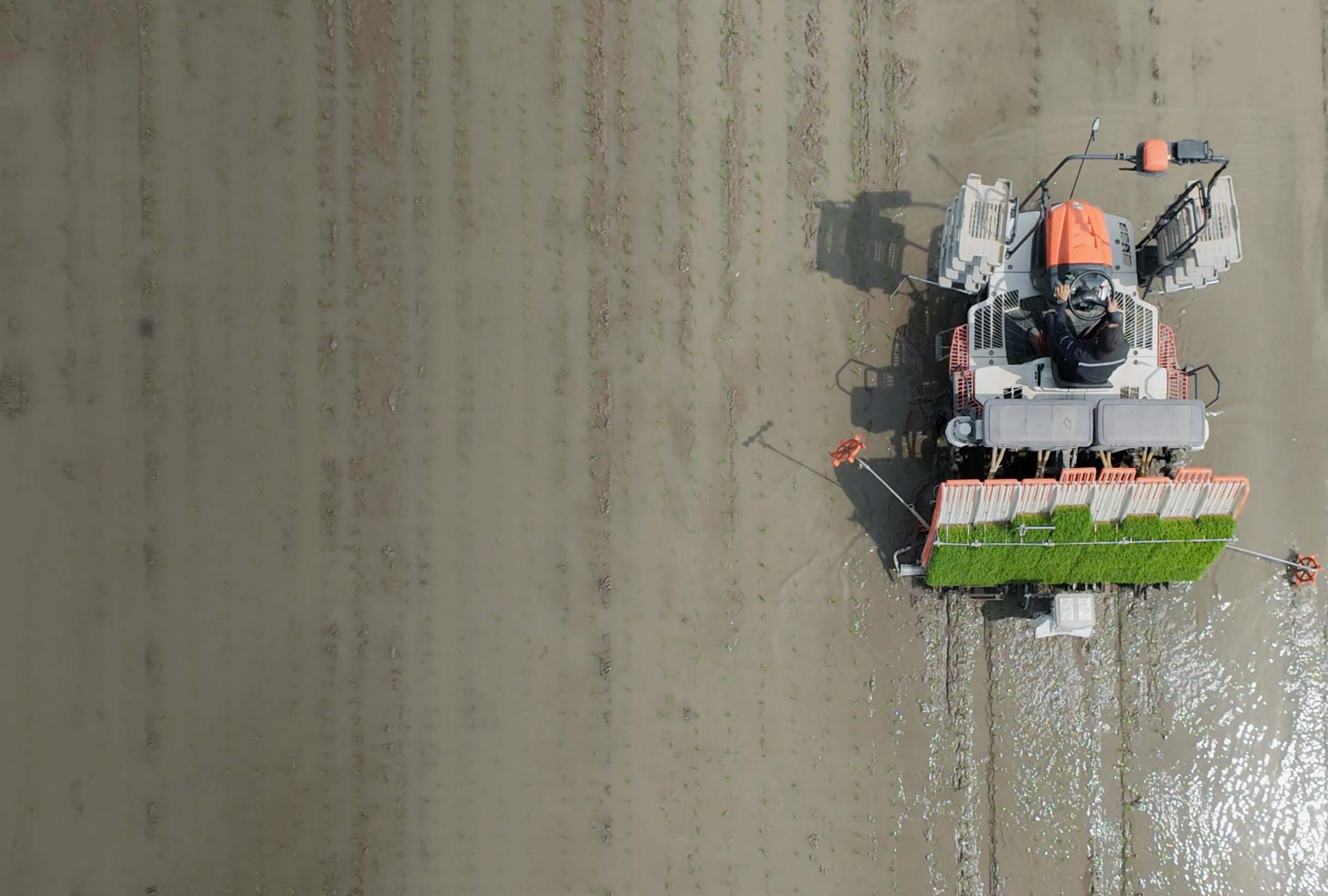 赤丸農産のスタッフが土を耕す