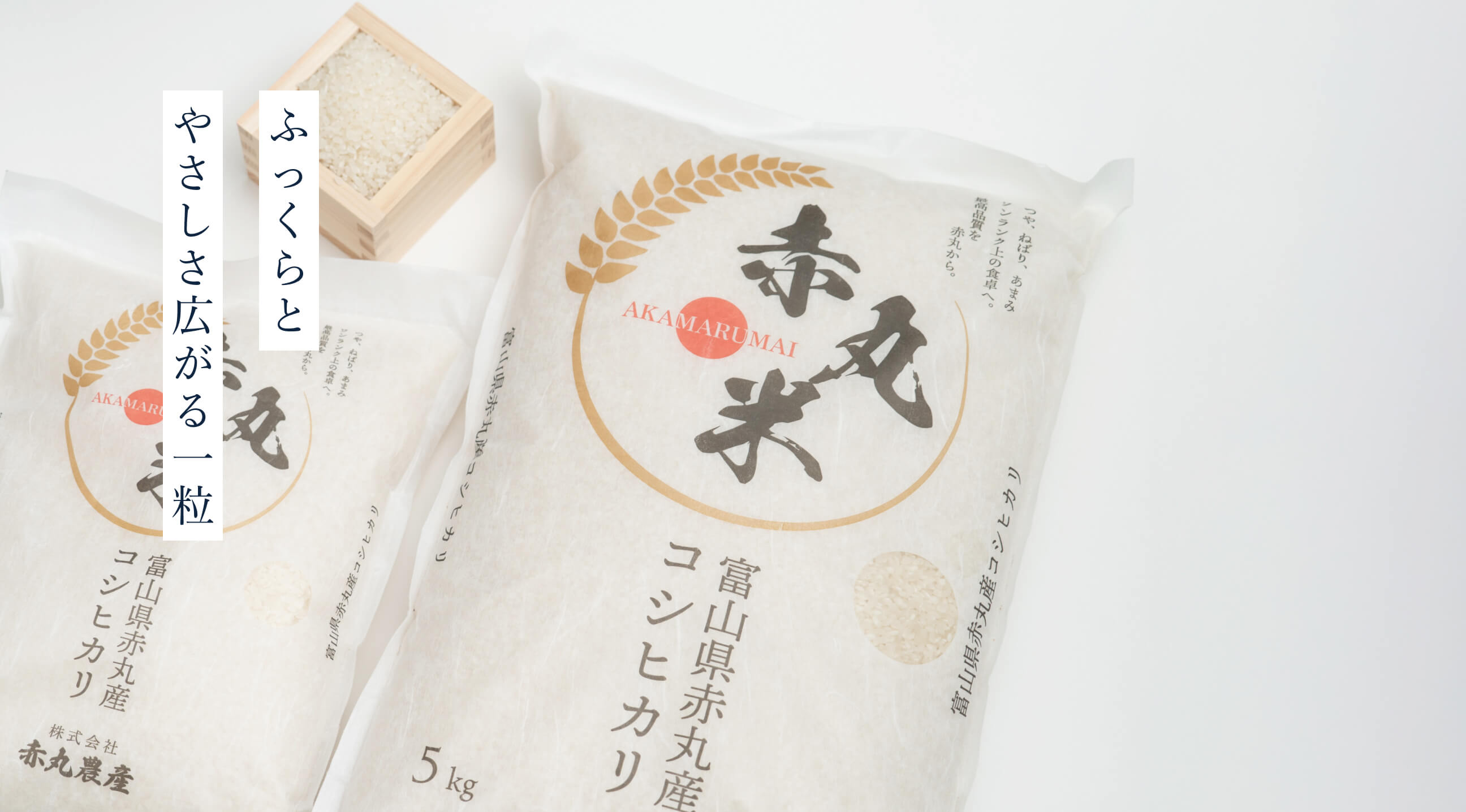 赤丸米について