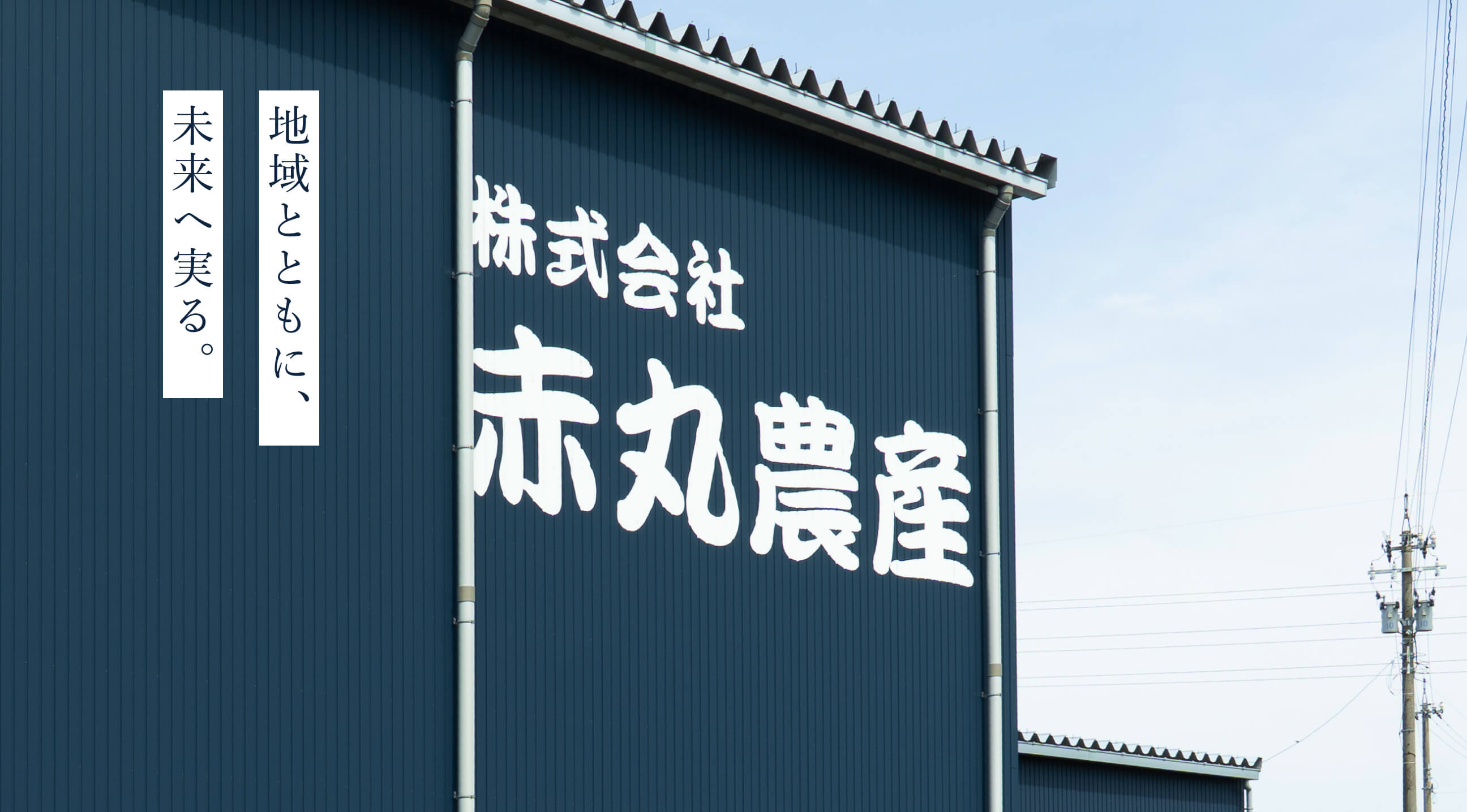 赤丸米について